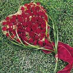 In Liebe
